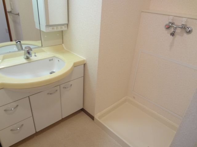 Washroom. With large washbasin