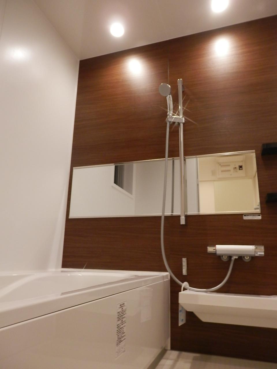 Bathroom. Room (May 2013) Shooting