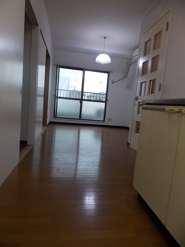 Living and room. DK viewed from the kitchen side.