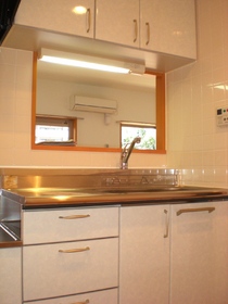 Kitchen. Popular counter kitchen