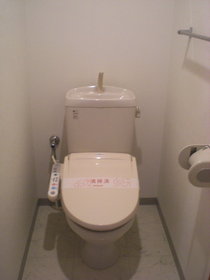Toilet. Comfortable with warm water washing toilet seat to the toilet