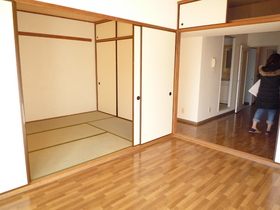 Living and room. Room is spread opened the sliding door