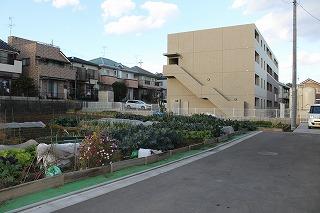 Local land photo. Local Photos