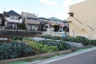 Local land photo. Local Photos