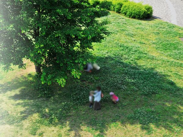 Surrounding environment. In front of the ion Oi store, Large symbol tree with red cube spread mark of Carillon Square (Central Park Higashikubo). Bloom green beautiful lawns and white clover flowers from early spring, I often a figure which children are or make a flower bouquet. It sounds bell carillon every hour, Us to tell the time.  ※ Carillon Square (Higashikubo Central Park) (1-minute walk / About 10m ※ Park Front) (7 minutes walk / About 550m ※ Bright Court)