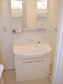 Washroom. What a Bathroom Vanity