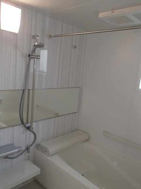 Bathroom. Local (11 May 2013) Shooting