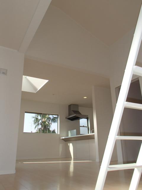 Living. Local (11 May 2013) Shooting