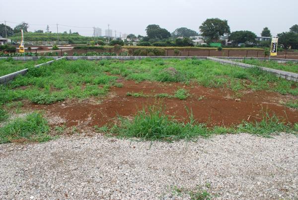 Local land photo. Local (July 2013) Shooting