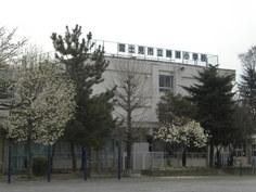 Primary school. Fujimi Municipal Katsuse to elementary school 1052m  ※ You can commute. 