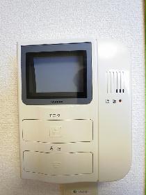 Other. Monitor with intercom