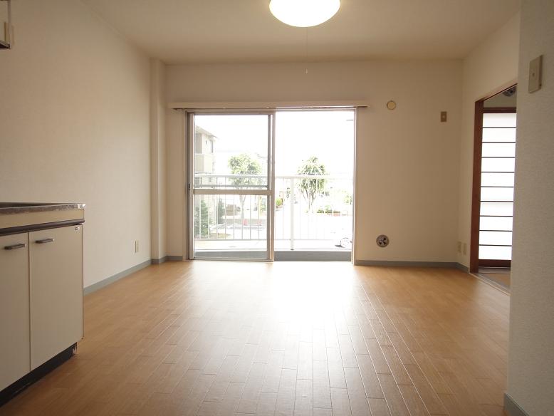 Living and room. Living