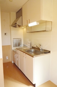 Kitchen. Bright kitchen. 2 lot gas stoves OK.