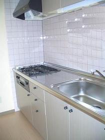 Kitchen. System kitchen