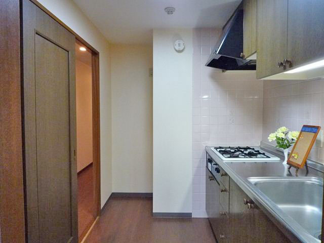 Kitchen. Stand-alone