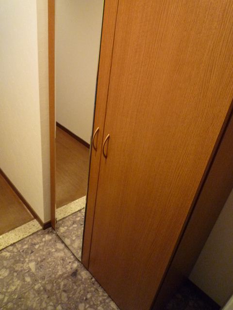 Other room space. Full-length mirror with a shoebox