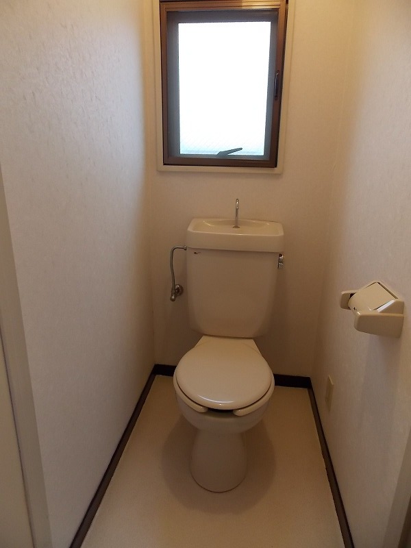 Toilet. Window with toilet.