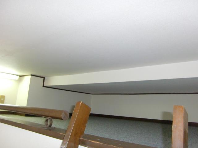 Living and room. loft