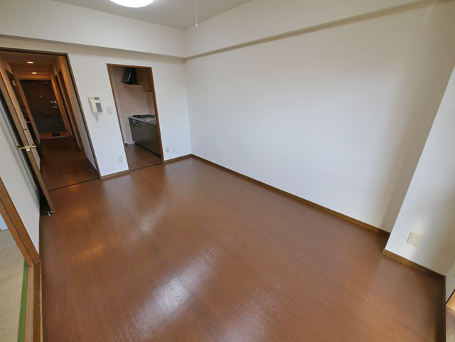 Living and room. LDK