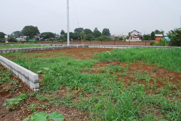 Local land photo. Local (July 2013) Shooting