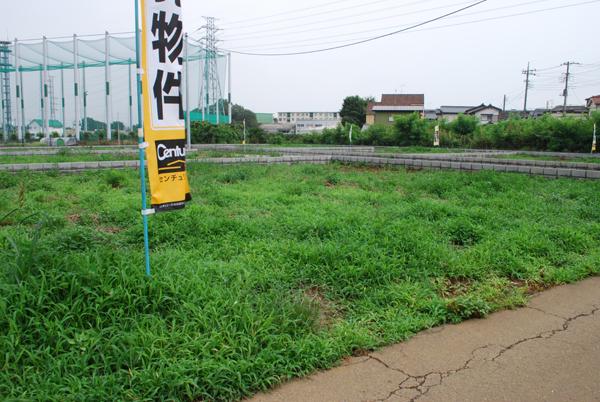 Local photos, including front road. Local (July 2013) Shooting