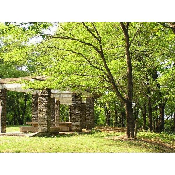 park. 1741m until Shimodai pond park