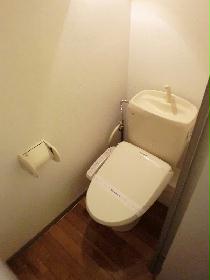 Toilet. Is a warm water washing toilet seat Installed.