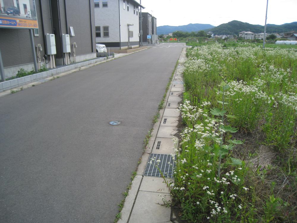 Local photos, including front road. It is south road. 
