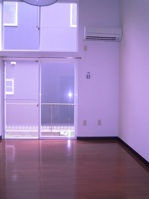 Living and room. Room 1