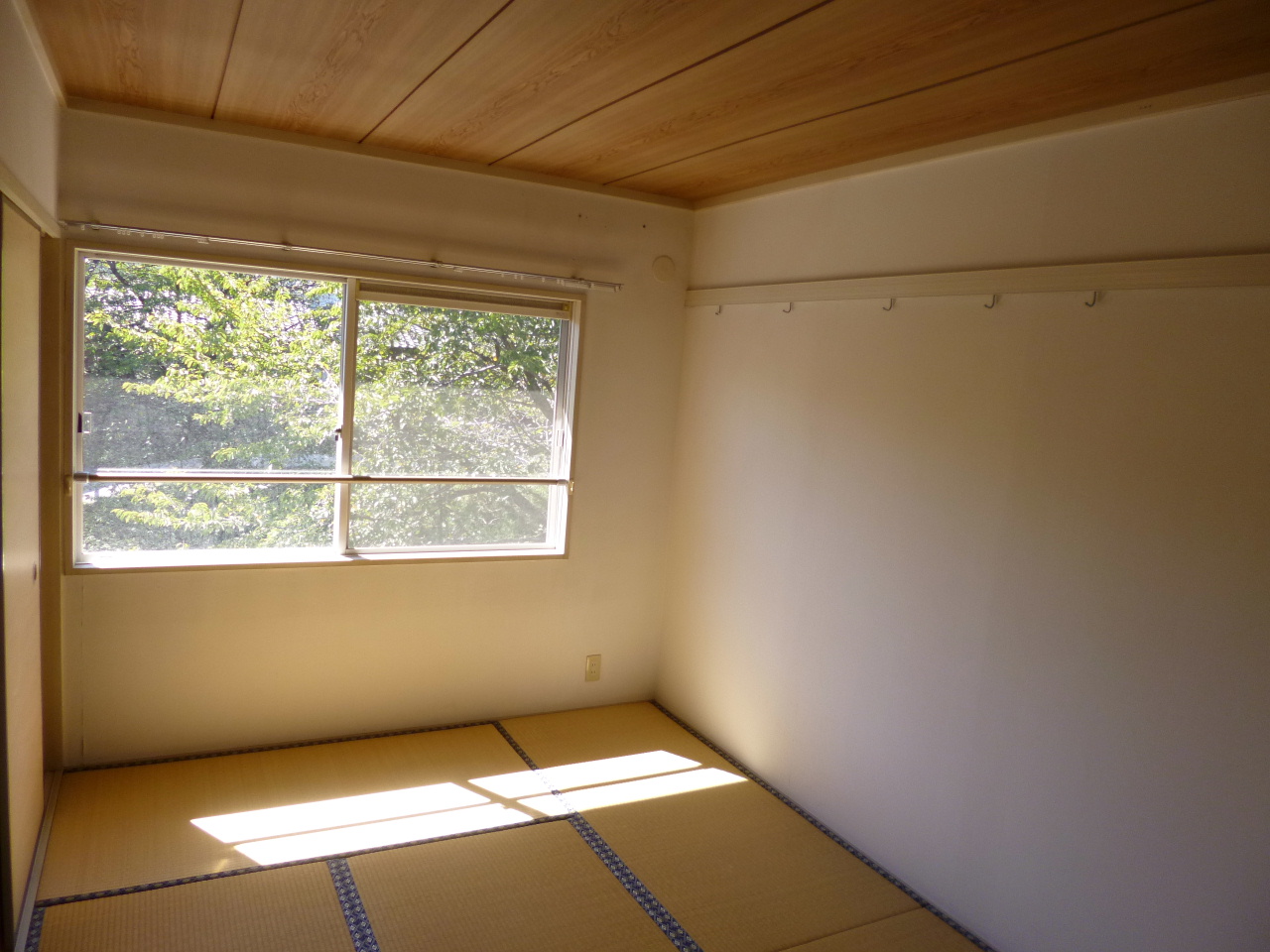 Living and room. This room is also south-facing