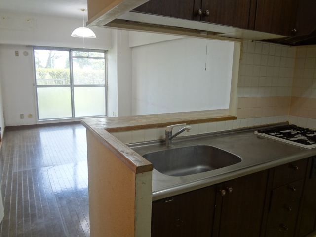 Kitchen. Popular condominium