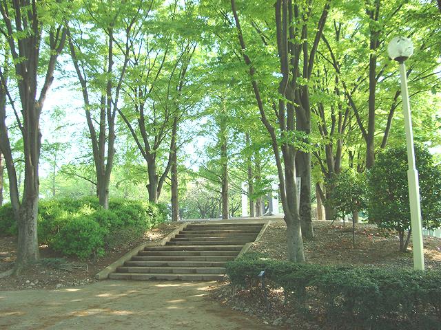 park. Kamishiba 175m to Central Park (park)