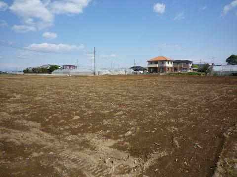 Local land photo. Required development permit