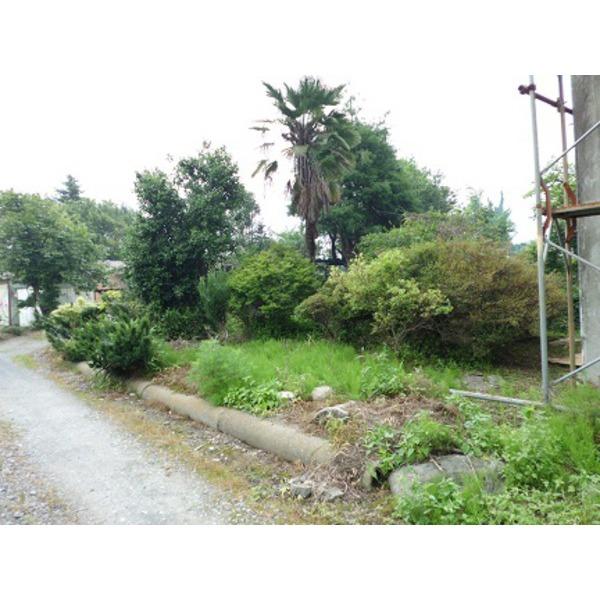 Local land photo