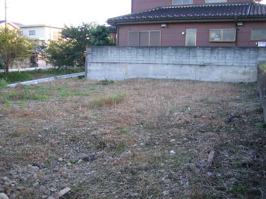 Local land photo