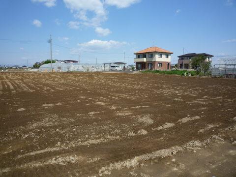 Local land photo. Yang per good