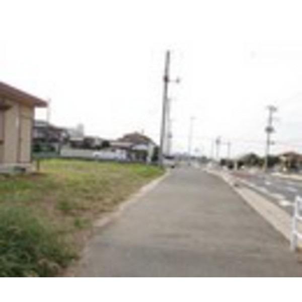 Local photos, including front road