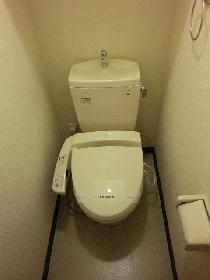 Toilet. Washlet Installed