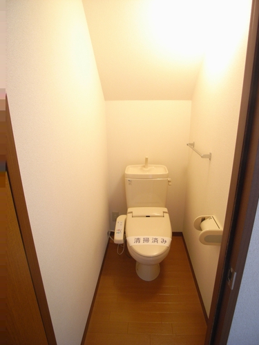 Toilet. Warm water washing toilet seat