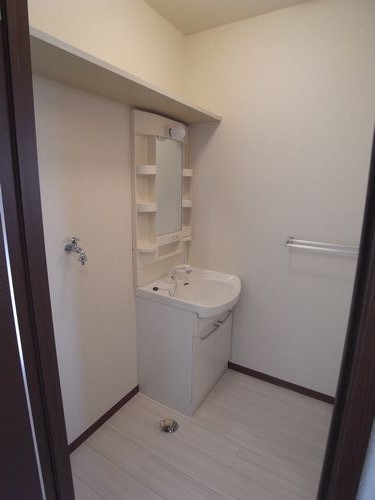 Washroom. Shampoo dresser