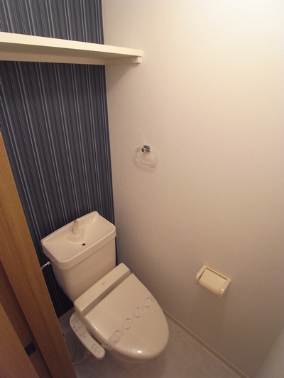 Toilet. Washlet toilet