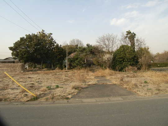 Local land photo