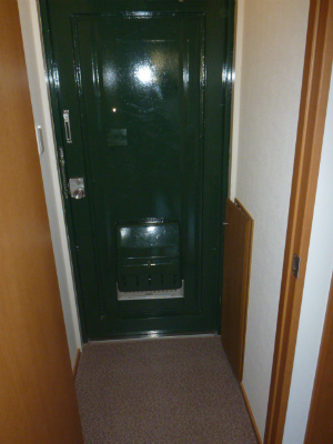 Entrance. It is spacious entrance.