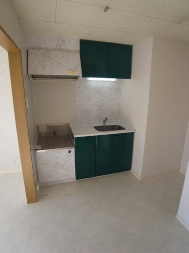 Kitchen. Widely available kitchen!