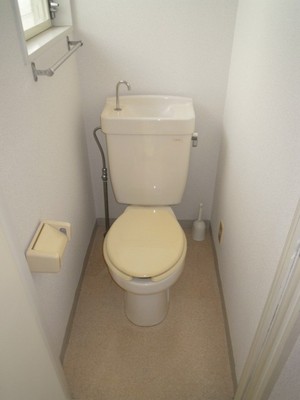 Toilet. Toilet