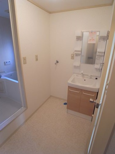 Washroom. Shampoo dresser