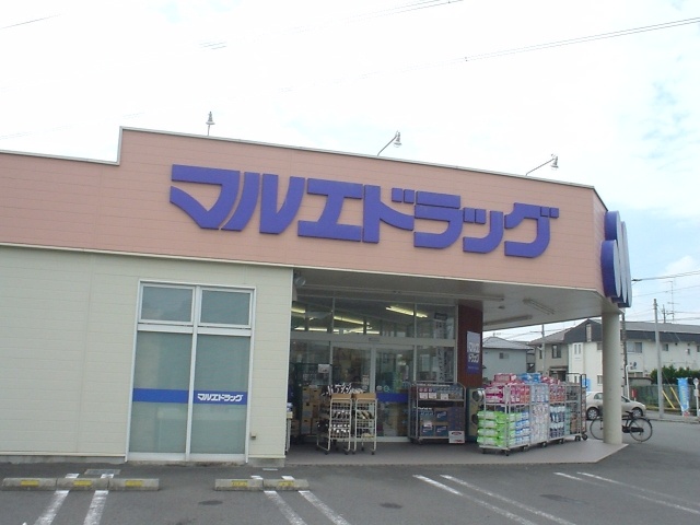 Dorakkusutoa. Marue drag Gyoda Mochida shop 630m until (drugstore)
