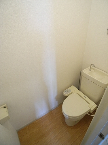 Other. With Washlet! 