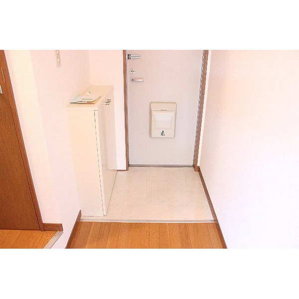 Entrance. Entrance with cleanliness