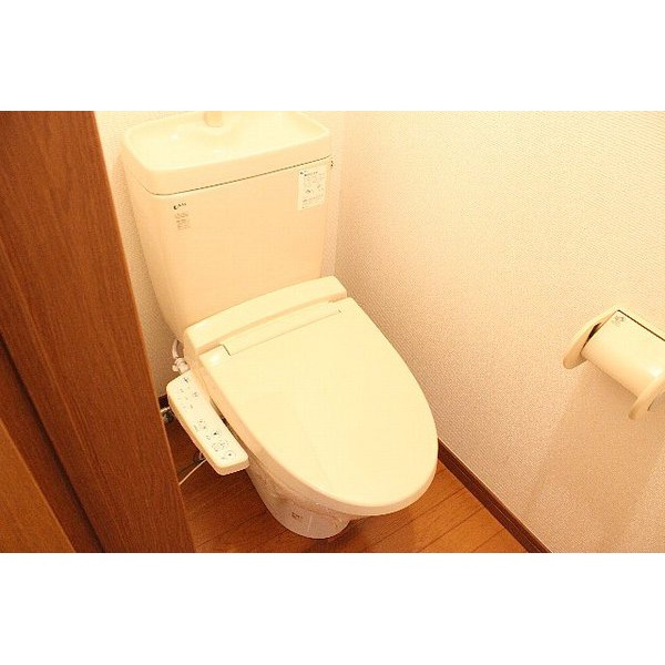 Toilet. With washlet